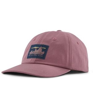 Patagonia Take A Stand Trucker Hat. NWT.